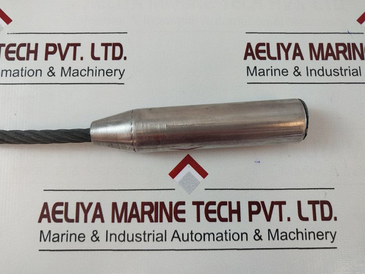 Eip 555 Capacitance Level Switch