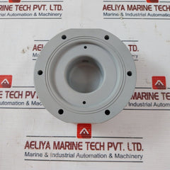 Elepon E.C.A.P M01-103 Pvc Pump Head Cr-3-2N