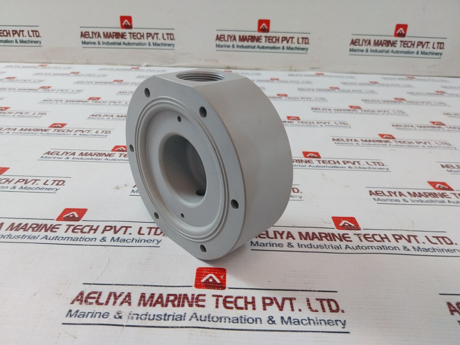 Elepon E.C.A.P M01-103 Pvc Pump Head Cr-3-2N