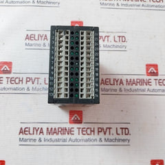 Elobau 462M41H31 Safety Control Unit 24V Ac/Dc