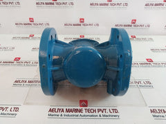 Elster H5000 Woltmann Cold Water Meter