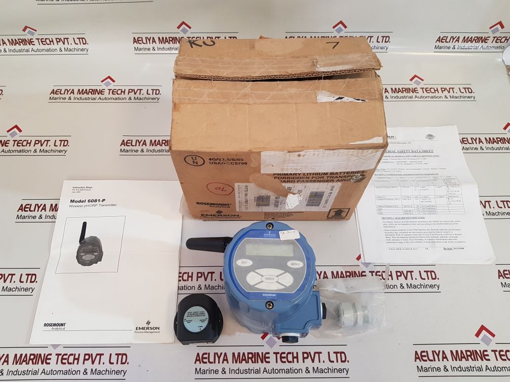Emerson 6081 Wireless Ph/Orp Transmitter 6081-p
