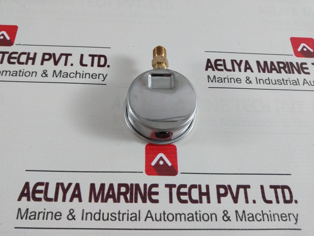 En-837-1 Pressure Gauge Cl. 1.6 0-60 Bar