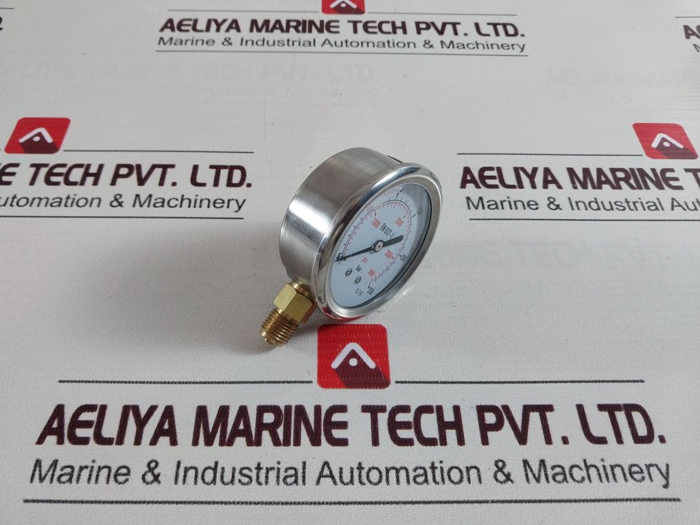 En 837-1 Cl 1.6 Pressure Gauge 0-250 Bar ,0-3600 Psi