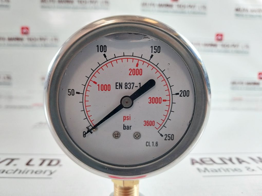 En 837-1 Cl 1.6 Pressure Gauge 0-250 Bar ,0-3600 Psi