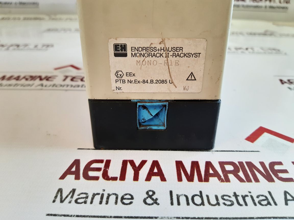Endress+Hauser Fmx 570 Mono-r1E Silometer – Aeliya Marine Tech