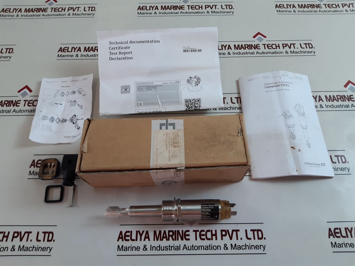 Endress+Hauser Ftl31 Limit Switch
