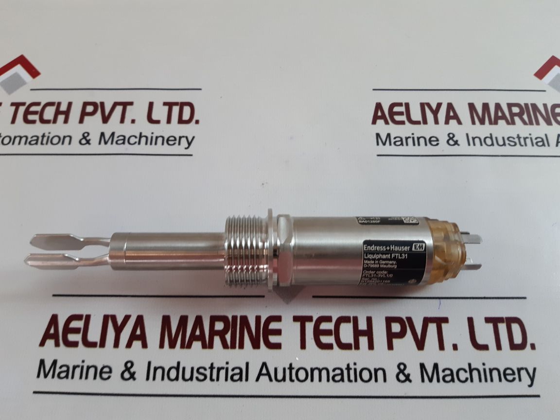 Endress+Hauser Ftl31 Limit Switch
