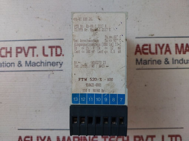 Endress+Hauser Ftw 520 Z Level Limit Switch