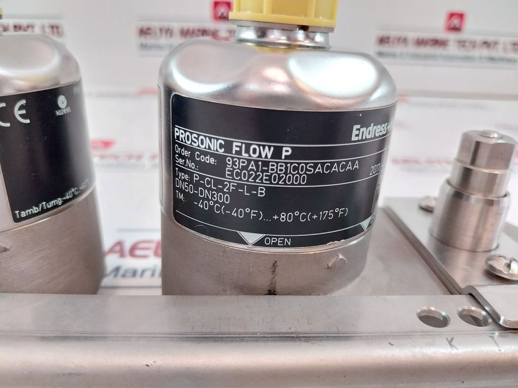 Endress+Hauser P-cl-2F-l-b Ultrasonic Flow Sensor