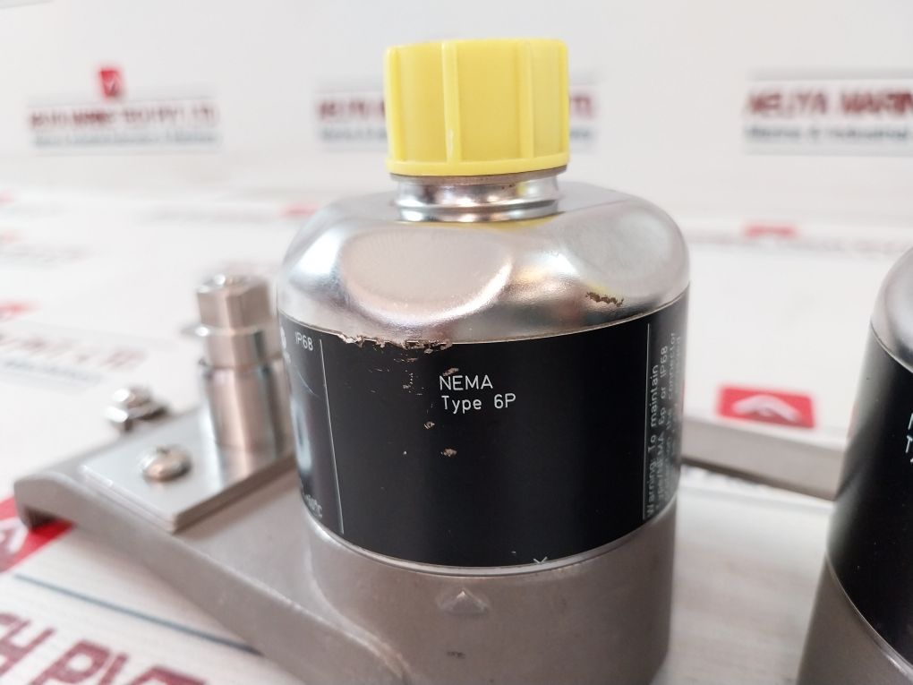 Endress+Hauser P-cl-2F-l-b Ultrasonic Flow Sensor