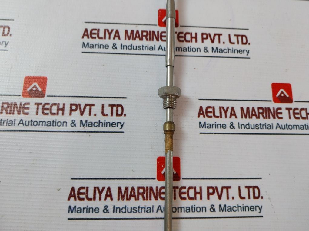 Endress+Hauser Tsc310-bebj228J Temperature Sensor Cable Probe 250Mm