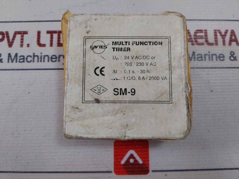 Entes Sm-9 Multi-function Electronic Timer 24V Ac/Dc