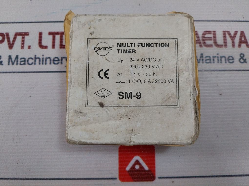 Entes Sm-9 Multi-function Electronic Timer 24V Ac/Dc