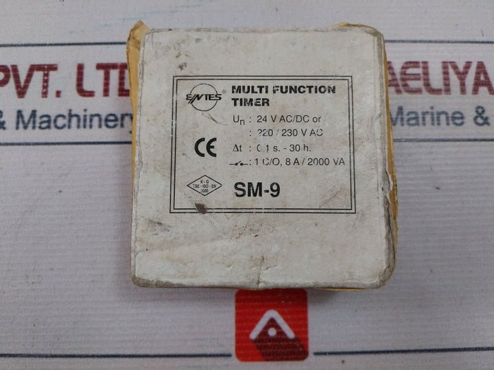Entes Sm-9 Multi-function Electronic Timer 24V Ac/Dc