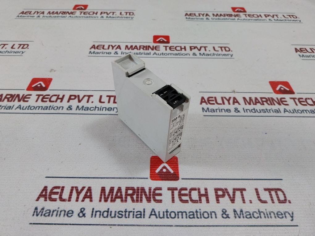 Entes Sm-9 Multi-function Electronic Timer 24V Ac/Dc