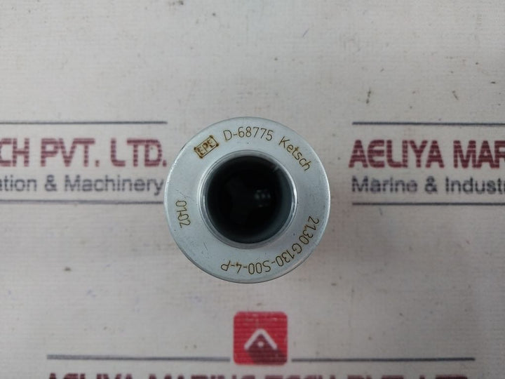 Epe 21.30G130-s00-4-p Filter Element