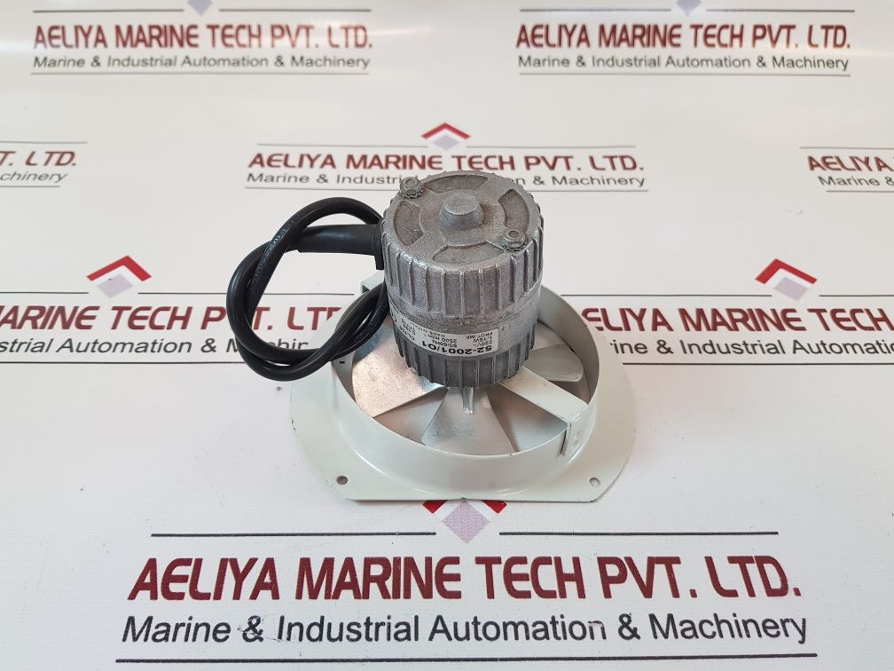 Euro Motor Italia 52-200101 Fan Motor
