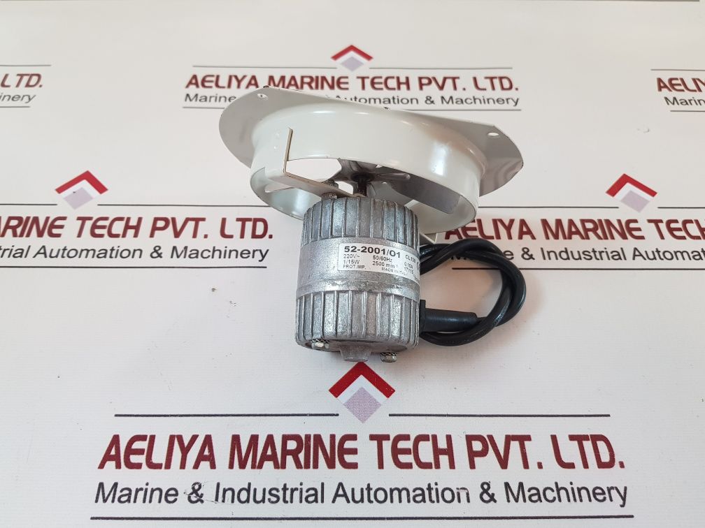 Euro Motor Italia 52-200101 Fan Motor
