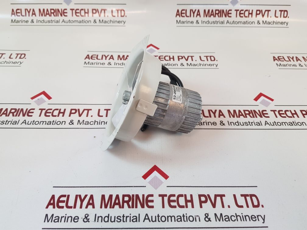 Euro Motor Italia 52-200101 Fan Motor
