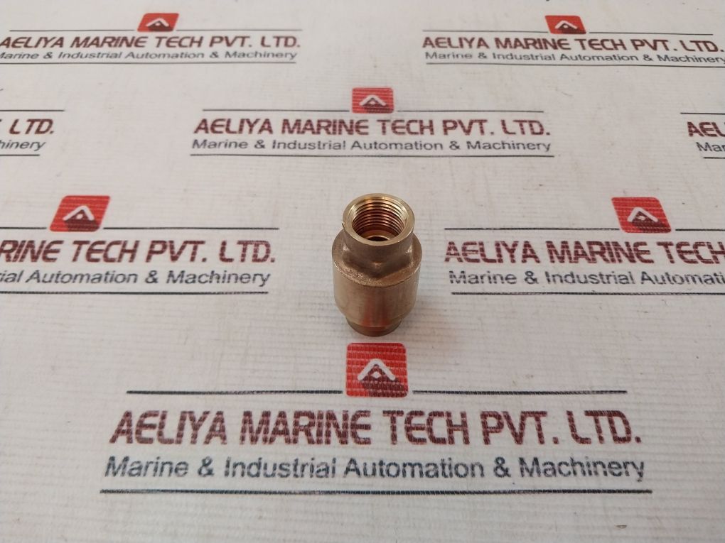 Euroblock 3/8” Npt Brass Check Valve
