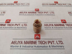 Euroblock 3/8” Npt Brass Check Valve