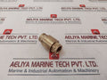 Euroblock 3/8” Npt Brass Check Valve
