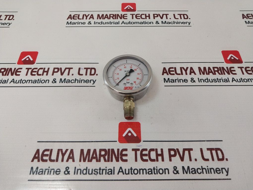 Fam En 837-1 Pressure Gauge 0-6 Bar 0-90 Psi