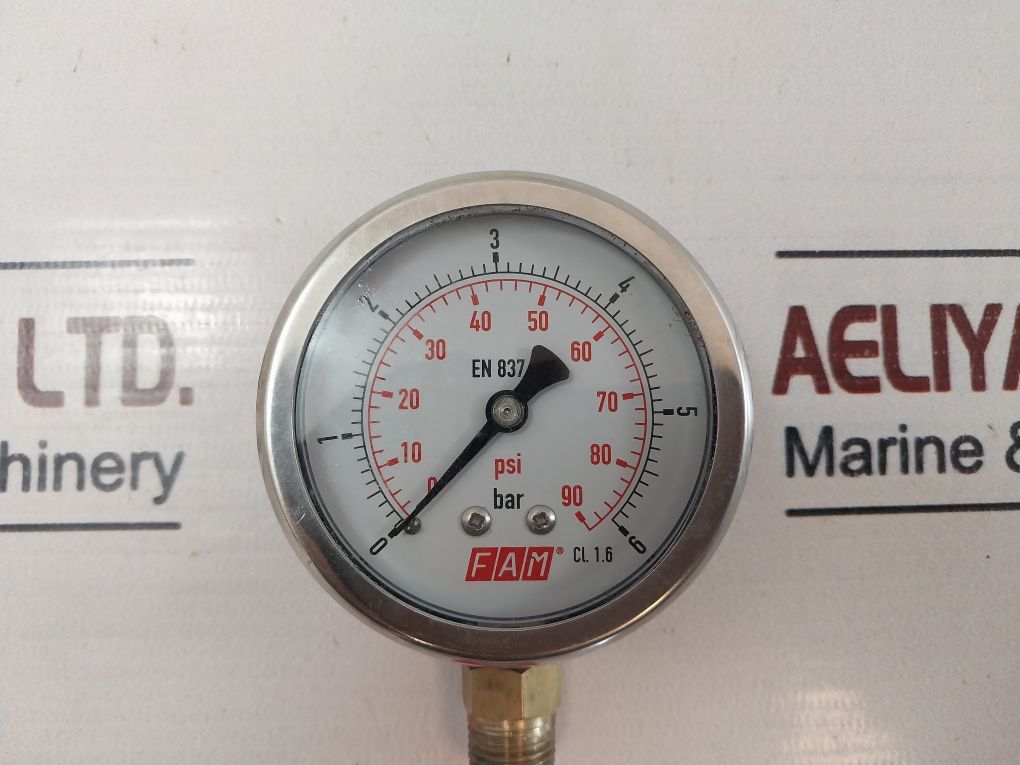 Fam En 837-1 Pressure Gauge 0-6 Bar 0-90 Psi
