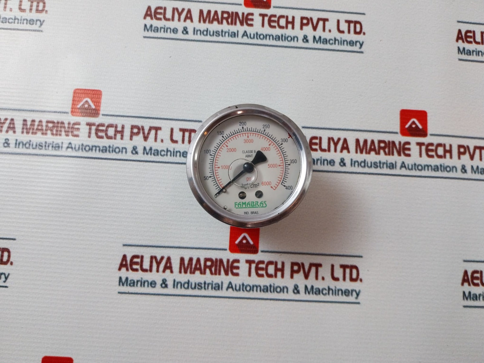 Famabras Nbr 14105.1 Analog Gauge