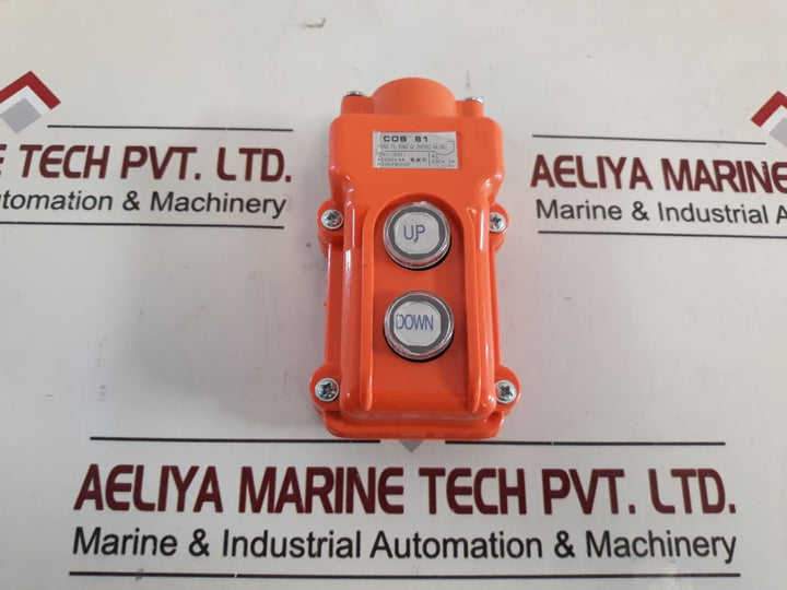Fang Yu Xing Qi Zhong An Niu Cob 61 Hoist Pushbutton Switch
