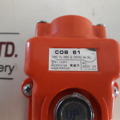 Fang Yu Xing Qi Zhong An Niu Cob 61 Hoist Pushbutton Switch