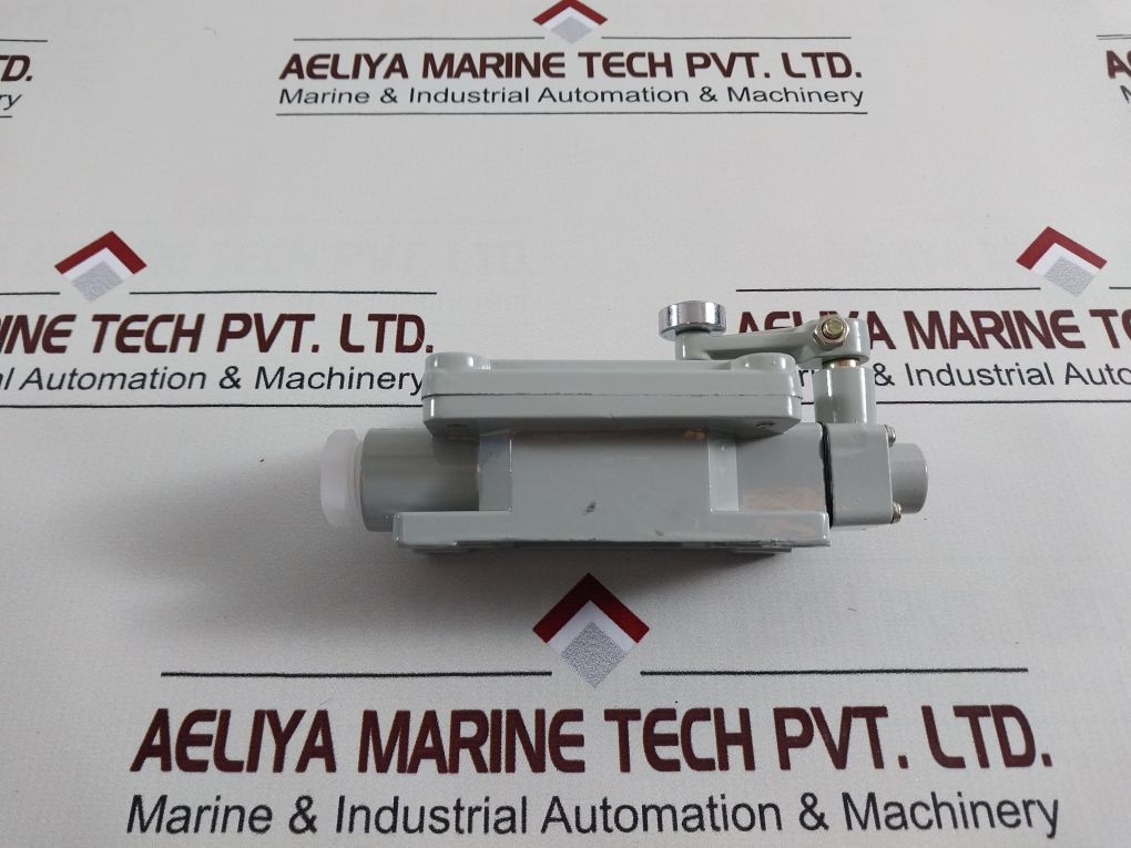 Fcfb Dlxk-15B Explosion-proof Limit Switch Dlxk