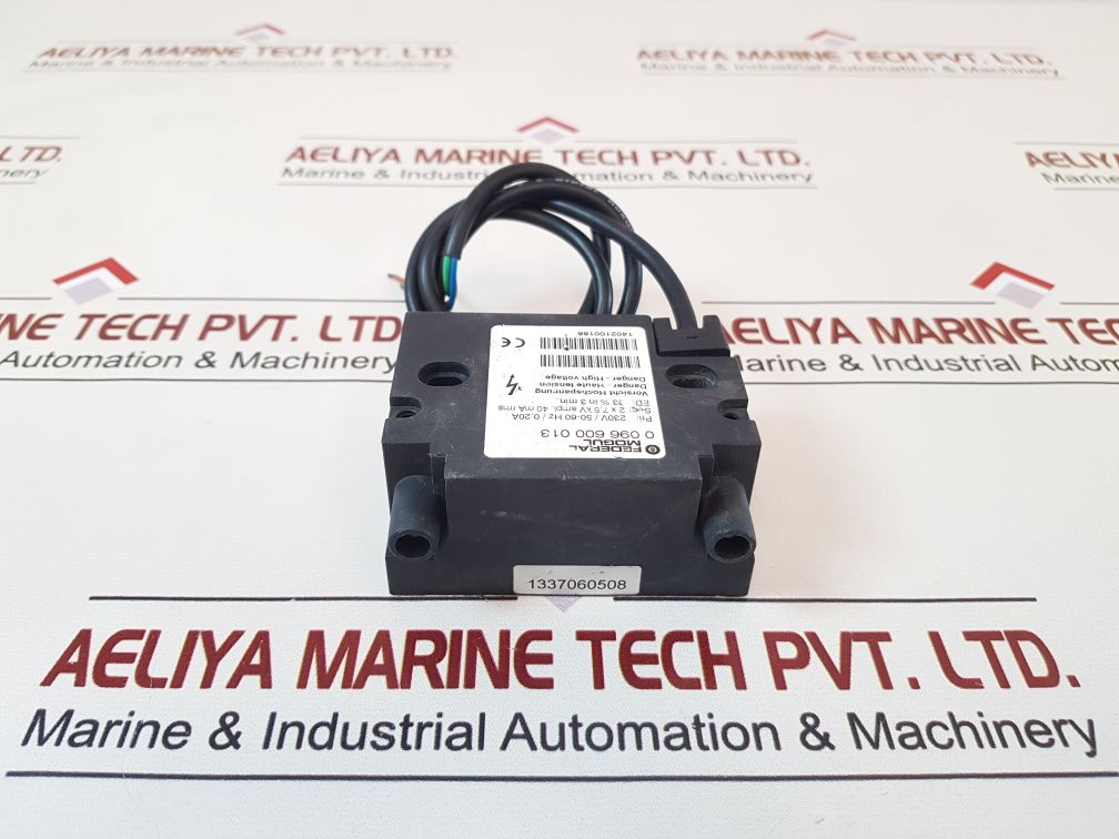 Federal Mogul 0 096 600 013 Ignition Transformer
