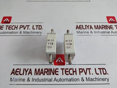 Lot Of 2X Ferraz Shawmut Nh000Gg69V35 Fuse