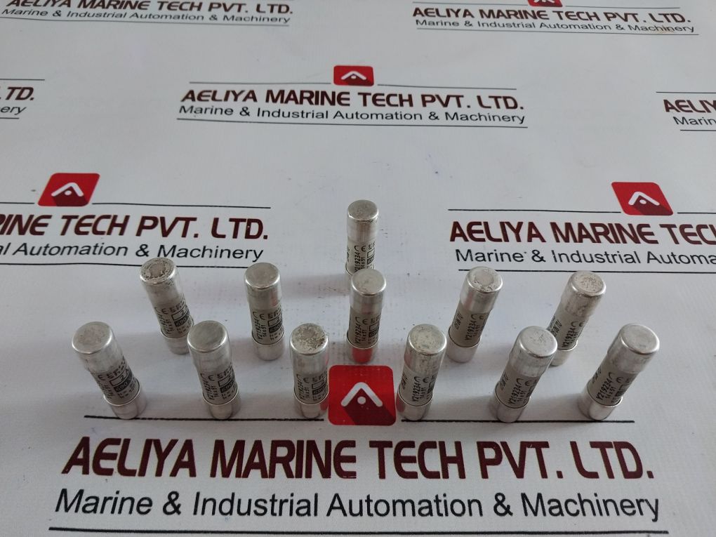 Ferraz Shawmut Y219234