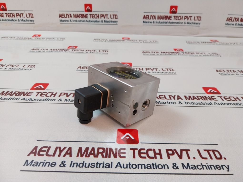 Ffs 1.4435 Differential Pressure Indicator