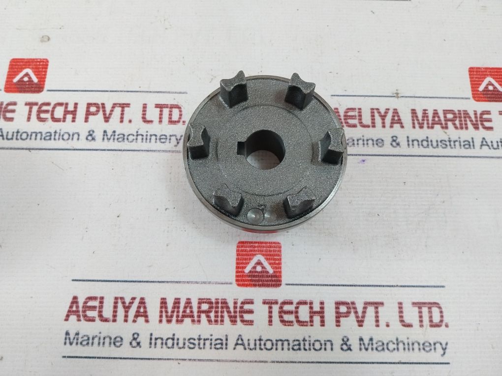 Flender N-eupex Coupling