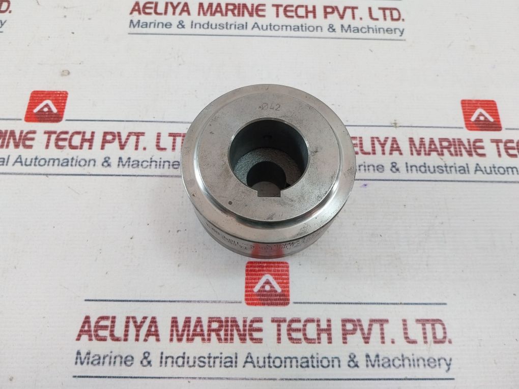 Flender N-eupex Coupling