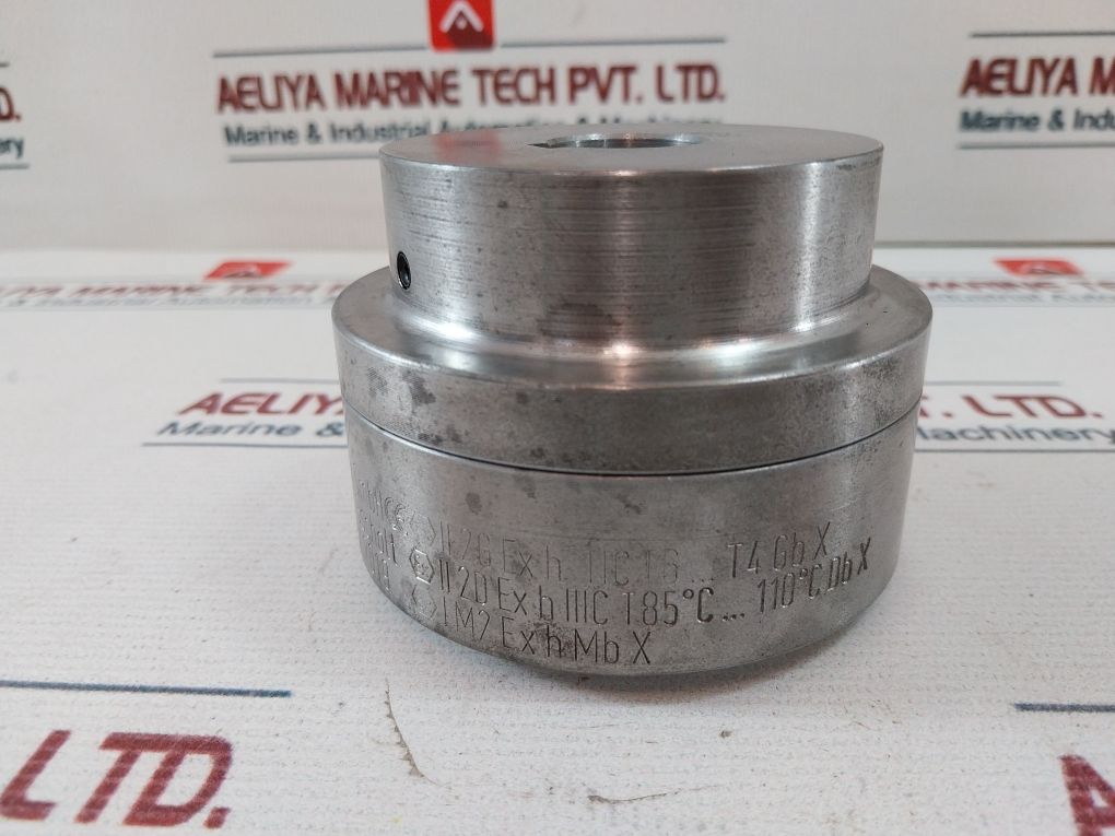 Flender N-eupex Coupling
