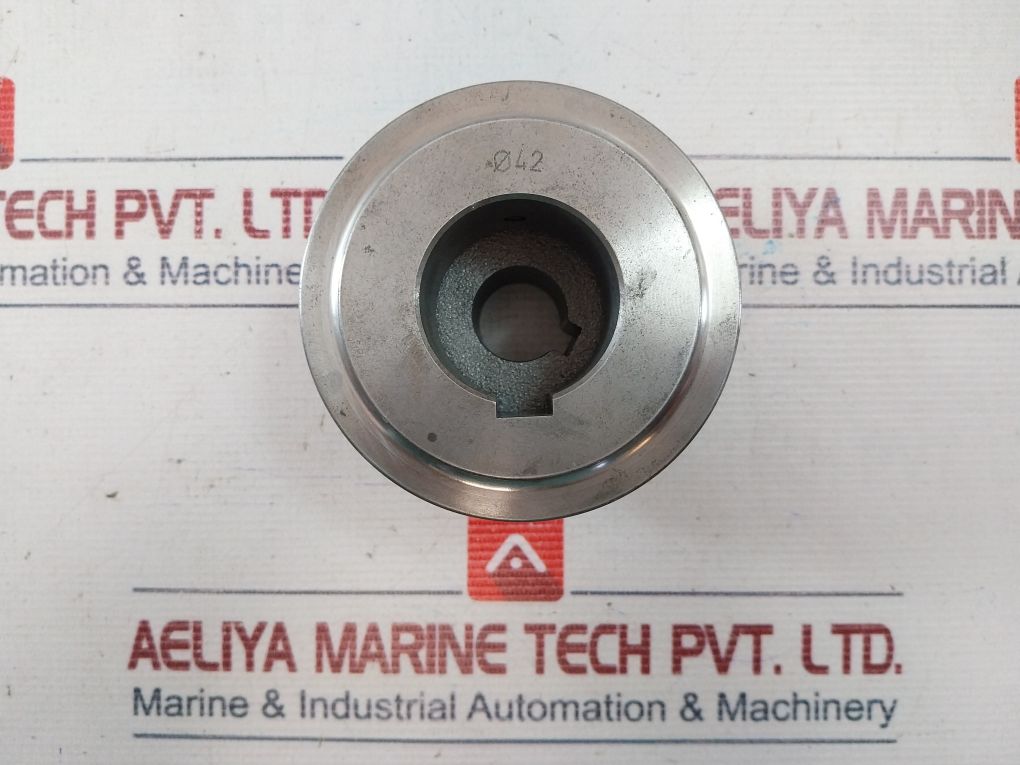 Flender N-eupex Coupling