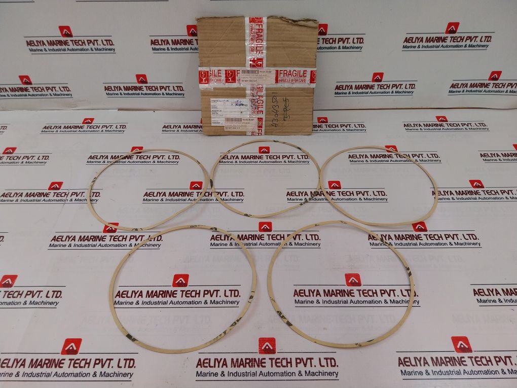 Flowserve 43043501 Flat Gasket Set For Pump Zlnd 40/250 Ewp 210