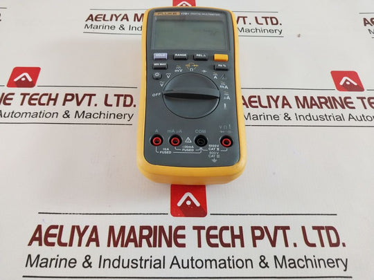 Fluke 17B+ Digital Multimeter 15 A
