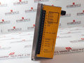 Forney International D-351373-01 Flame Detector Amplifier