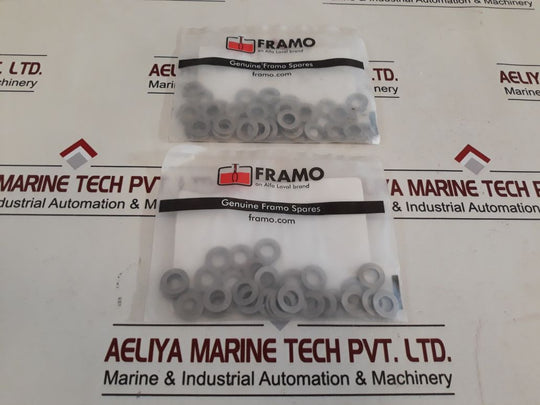 Framo 34231 Washer Plain
