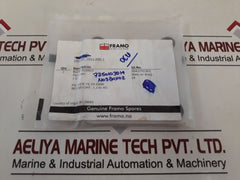 Framo Blind Flange