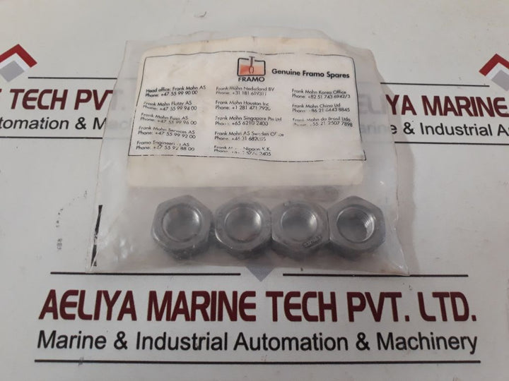 Framo F5914 Nut Hex M20