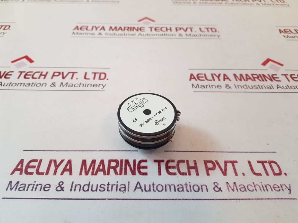 Fsg pk 620 - 17 m ii d potentiometer