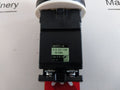 Fuji Electric Dr30D0L-h3A Pilot Light