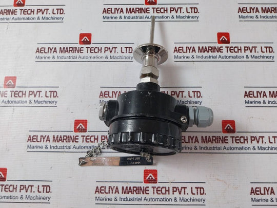 General Instruments 2Xpt100 Temperature Sensor